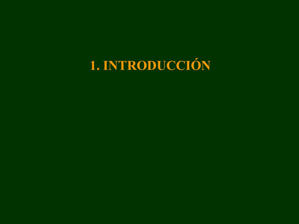 1. INTRODUCCIÓN