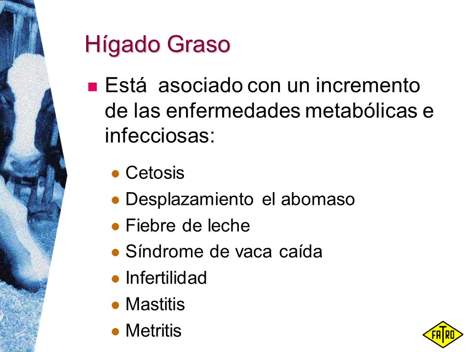Hígado Graso Está asociado con un incremento de las enfermedades metabólicas e infecciosas: Cetosis.