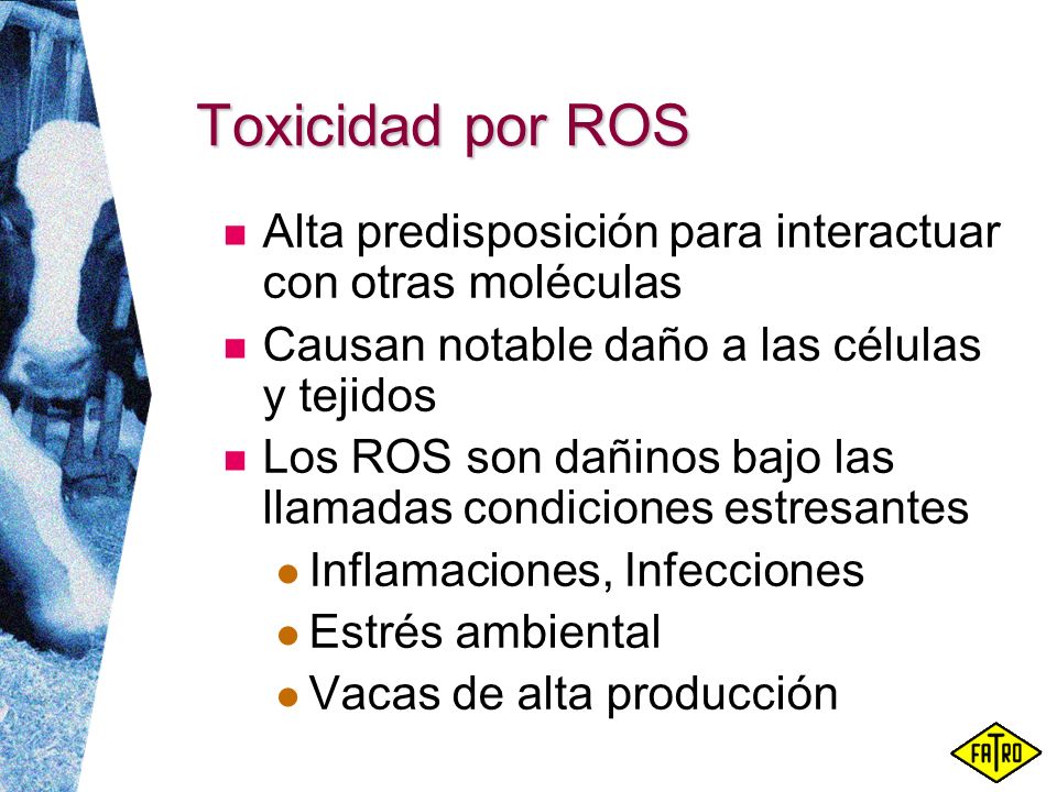 Toxicidad por ROS Alta predisposición para interactuar con otras moléculas. Causan notable daño a las células y tejidos.