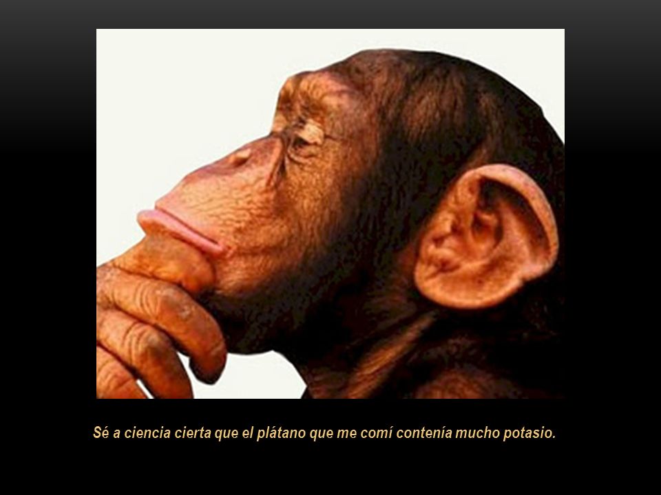 Sé a ciencia cierta que el plátano que me comí contenía mucho potasio.