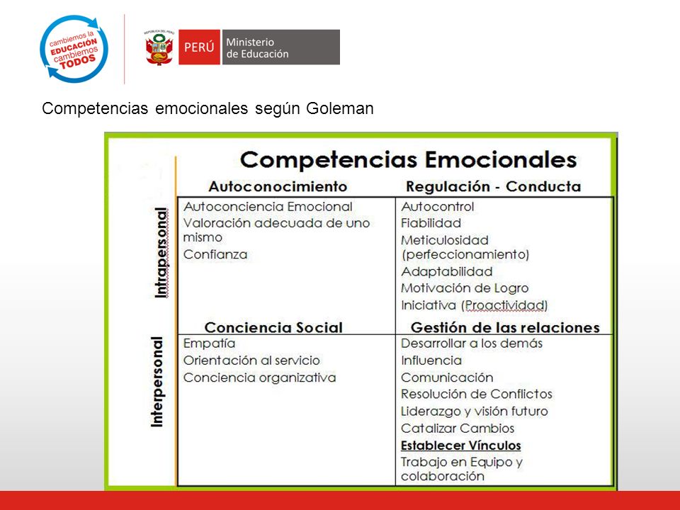 Competencias emocionales según Goleman