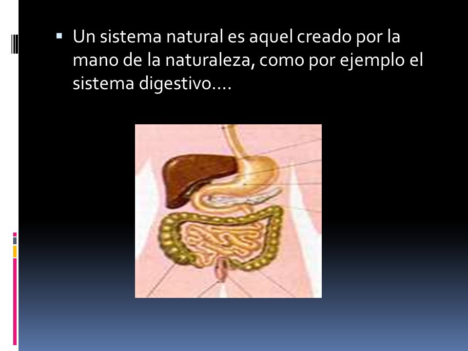 Un sistema natural es aquel creado por la mano de la naturaleza, como por ejemplo el sistema digestivo….