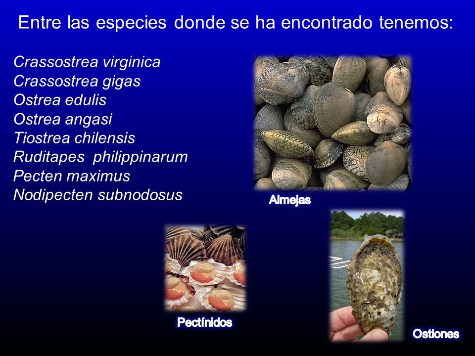 Entre las especies donde se ha encontrado tenemos: