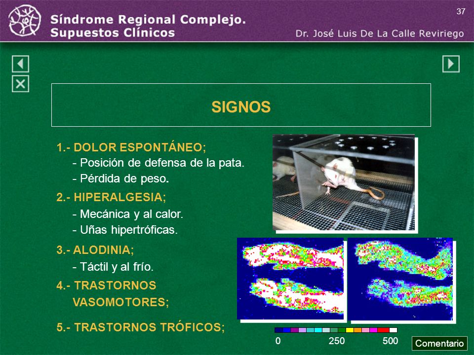 SIGNOS 1.- DOLOR ESPONTÁNEO; - Posición de defensa de la pata.