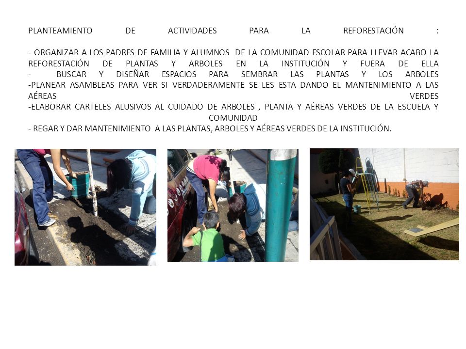 PLANTEAMIENTO DE ACTIVIDADES PARA LA REFORESTACIÓN : - ORGANIZAR A LOS PADRES DE FAMILIA Y ALUMNOS DE LA COMUNIDAD ESCOLAR PARA LLEVAR ACABO LA REFORESTACIÓN DE PLANTAS Y ARBOLES EN LA INSTITUCIÓN Y FUERA DE ELLA - BUSCAR Y DISEÑAR ESPACIOS PARA SEMBRAR LAS PLANTAS Y LOS ARBOLES -PLANEAR ASAMBLEAS PARA VER SI VERDADERAMENTE SE LES ESTA DANDO EL MANTENIMIENTO A LAS AÉREAS VERDES -ELABORAR CARTELES ALUSIVOS AL CUIDADO DE ARBOLES , PLANTA Y AÉREAS VERDES DE LA ESCUELA Y COMUNIDAD - REGAR Y DAR MANTENIMIENTO A LAS PLANTAS, ARBOLES Y AÉREAS VERDES DE LA INSTITUCIÓN.