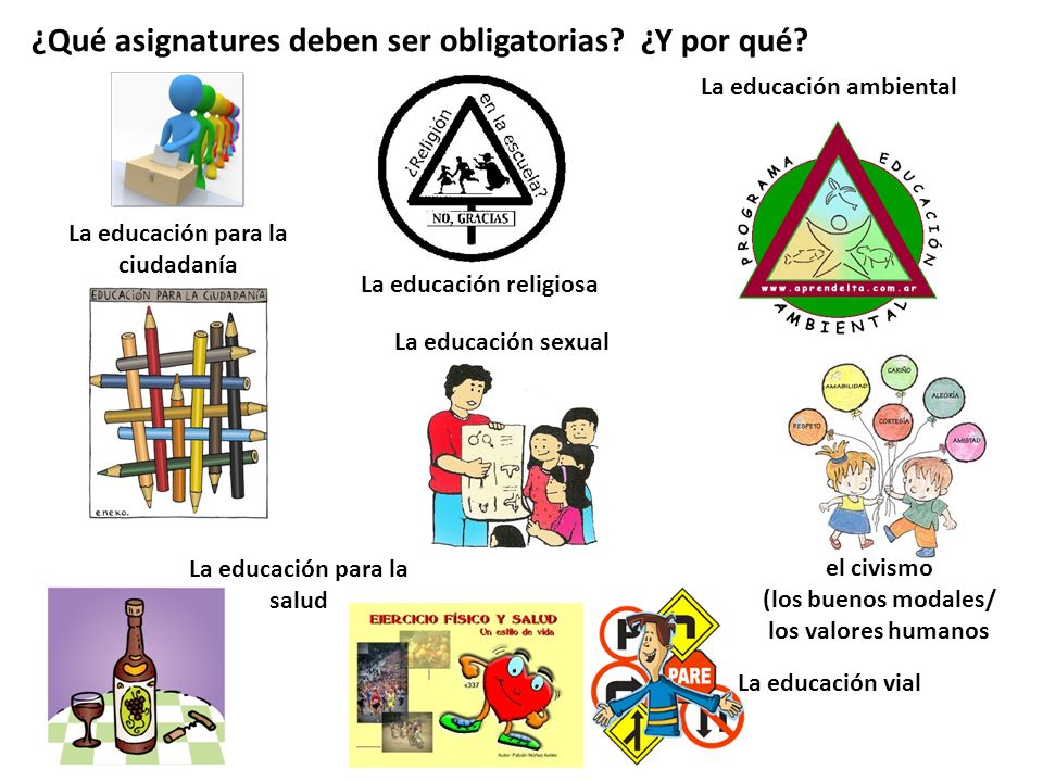 ¿Qué asignatures deben ser obligatorias ¿Y por qué