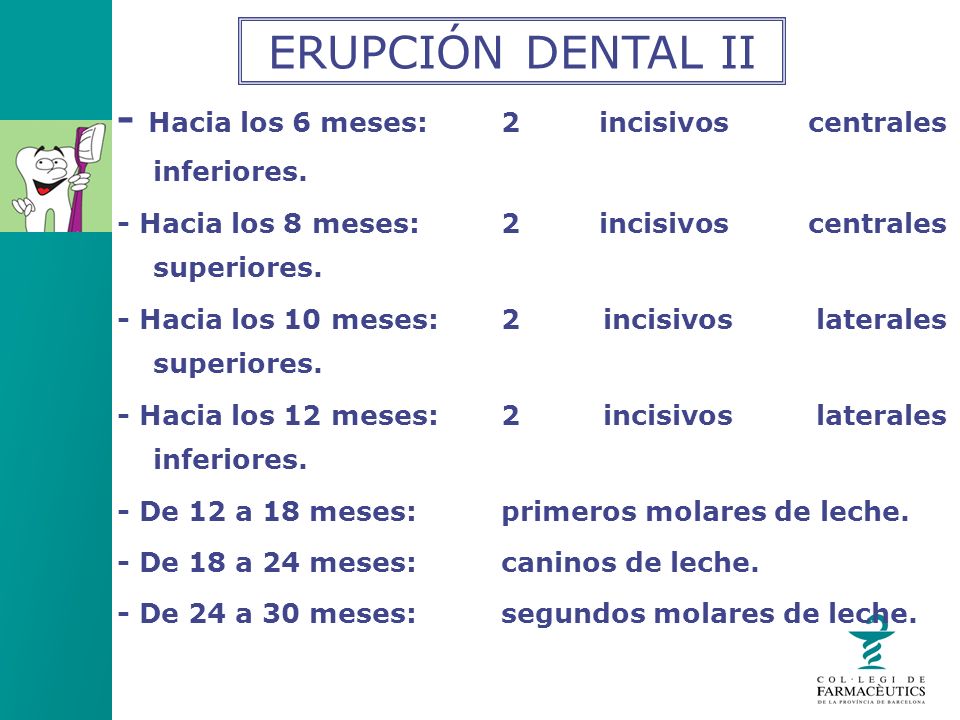 ERUPCIÓN DENTAL II - Hacia los 6 meses: 2 incisivos centrales inferiores. - Hacia los 8 meses: 2 incisivos centrales superiores.