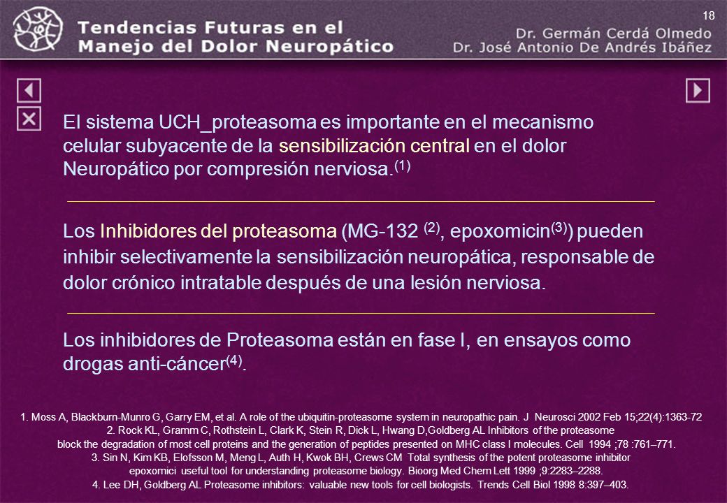 El sistema UCH_proteasoma es importante en el mecanismo