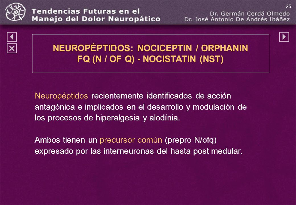 NEUROPÉPTIDOS: NOCICEPTIN / ORPHANIN FQ (N / OF Q) - NOCISTATIN (NST)