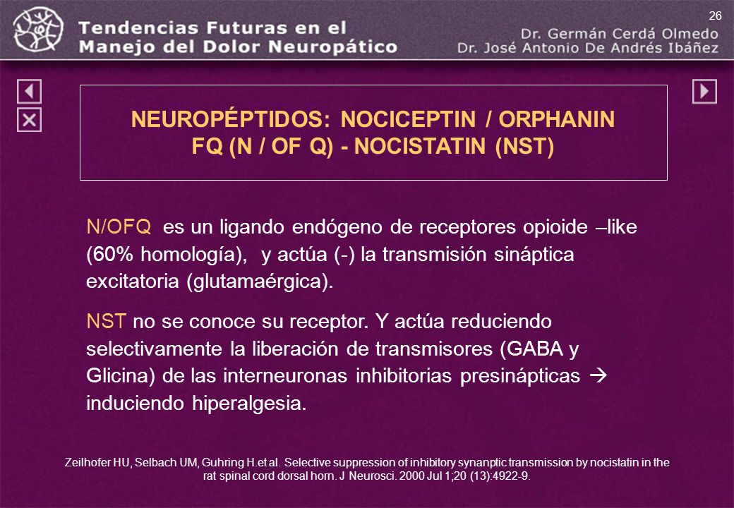 NEUROPÉPTIDOS: NOCICEPTIN / ORPHANIN FQ (N / OF Q) - NOCISTATIN (NST)