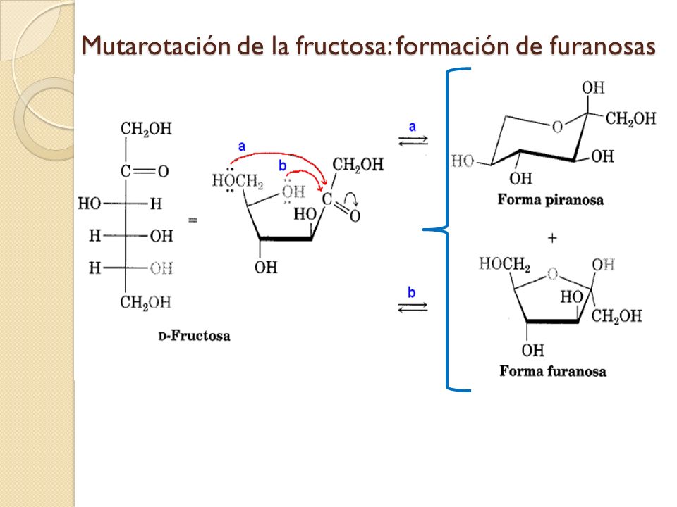 Mutarotación de la fructosa: formación de furanosas