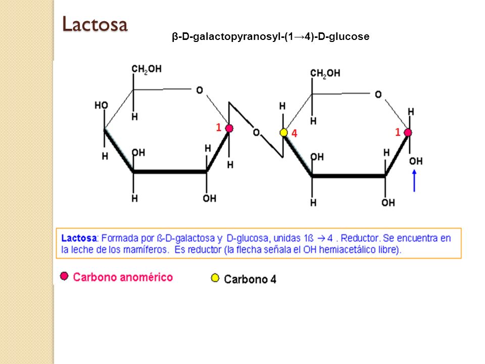 β-D-galactopyranosyl-(1→4)-D-glucose