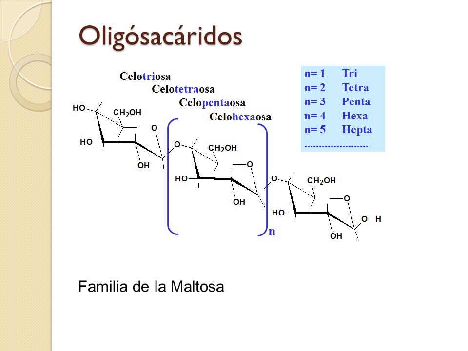 Oligósacáridos Familia de la Maltosa 66 66