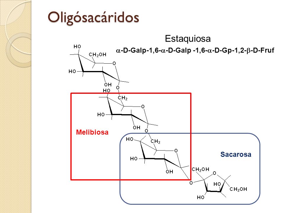Oligósacáridos Estaquiosa