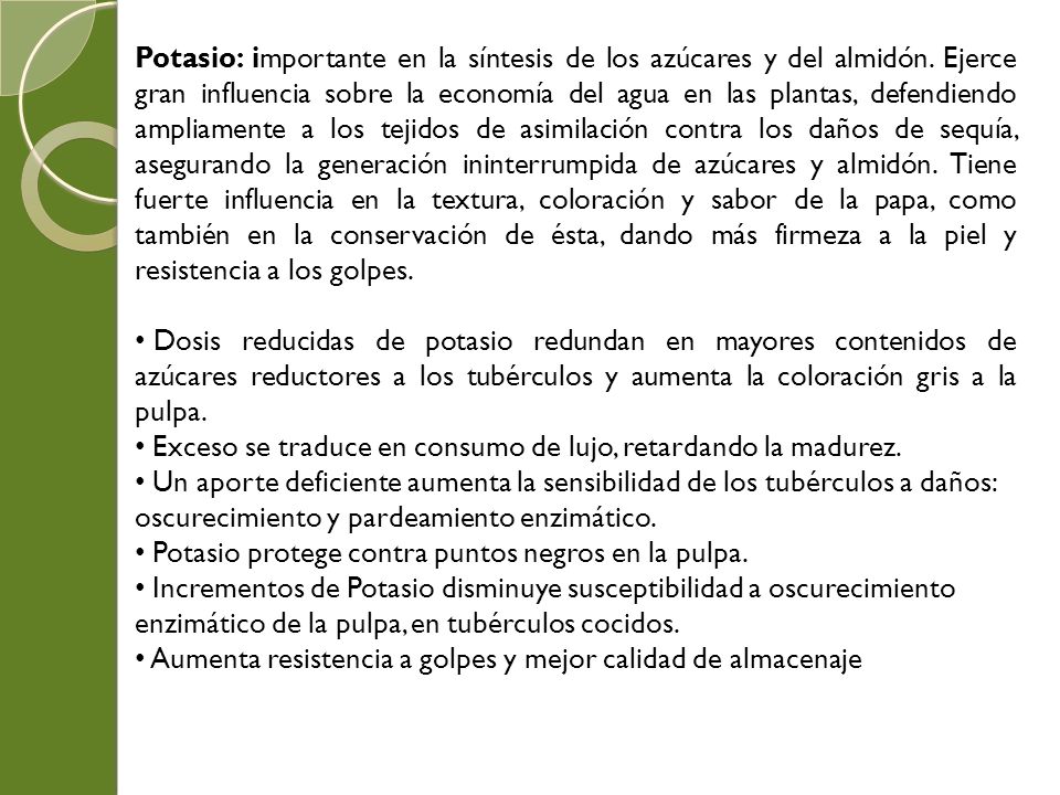 Potasio: importante en la síntesis de los azúcares y del almidón