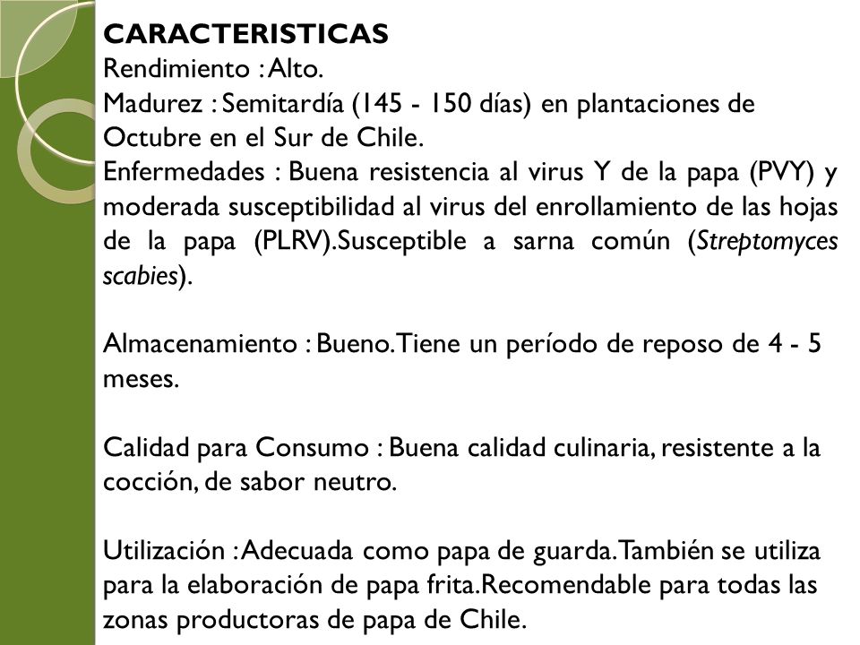 CARACTERISTICAS Rendimiento : Alto. Madurez : Semitardía ( días) en plantaciones de Octubre en el Sur de Chile.