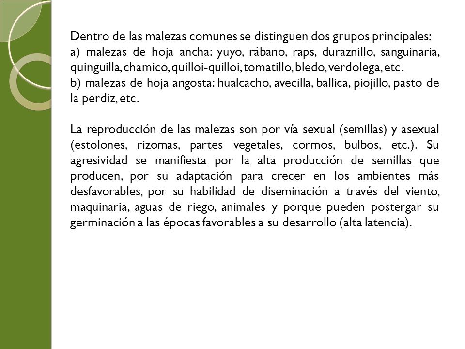 Dentro de las malezas comunes se distinguen dos grupos principales: