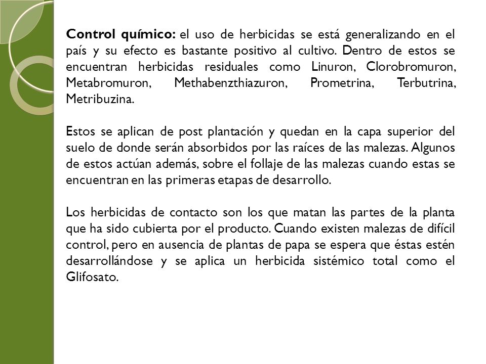 Control químico: el uso de herbicidas se está generalizando en el país y su efecto es bastante positivo al cultivo. Dentro de estos se encuentran herbicidas residuales como Linuron, Clorobromuron, Metabromuron, Methabenzthiazuron, Prometrina, Terbutrina, Metribuzina.