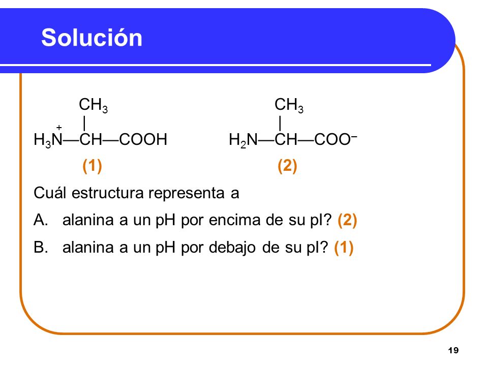 Solución + | | H3N—CH—COOH H2N—CH—COO– (1) (2)