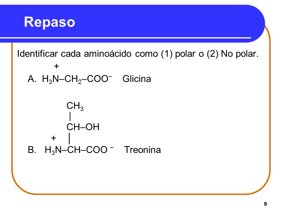 Repaso Identificar cada aminoácido como (1) polar o (2) No polar. +
