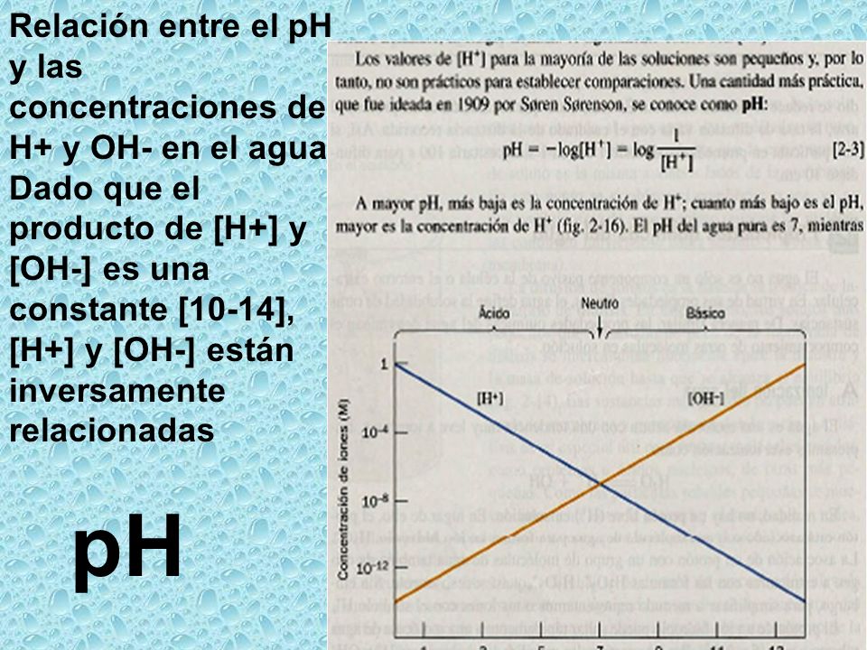 Relación entre el pH y las concentraciones de H+ y OH- en el agua