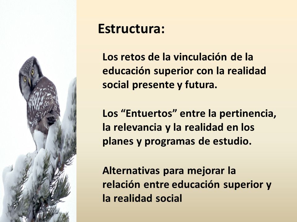 Estructura: Los retos de la vinculación de la educación superior con la realidad social presente y futura.