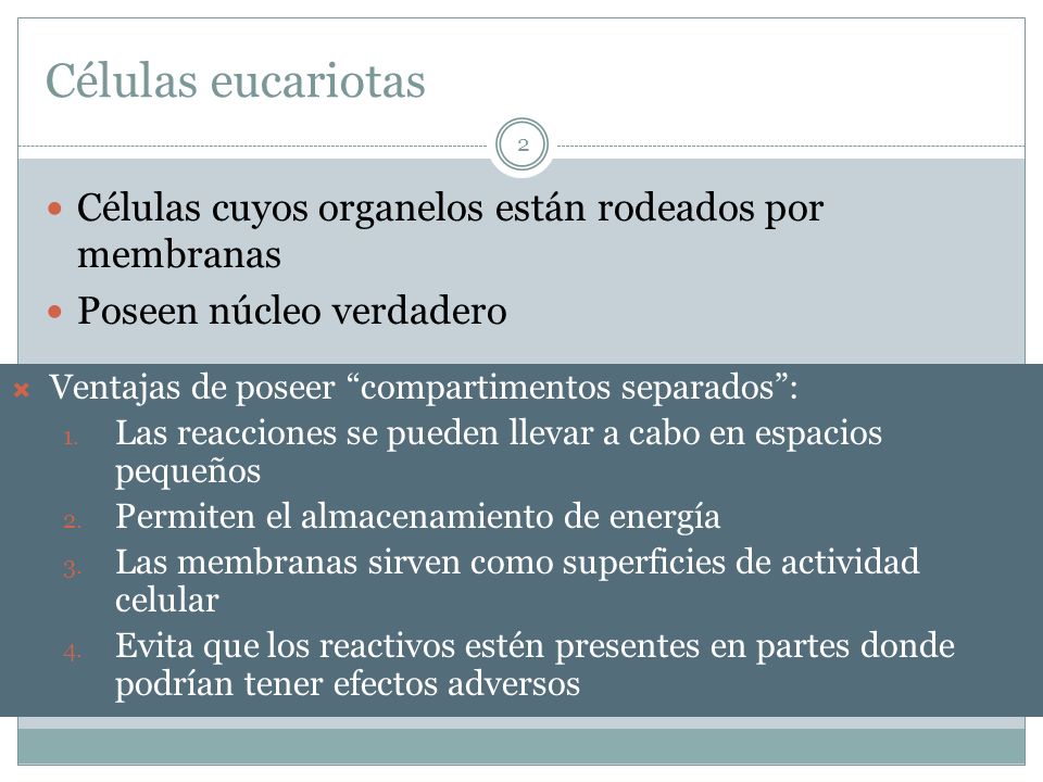 Células eucariotas Células cuyos organelos están rodeados por membranas. Poseen núcleo verdadero. Ventajas de poseer compartimentos separados :