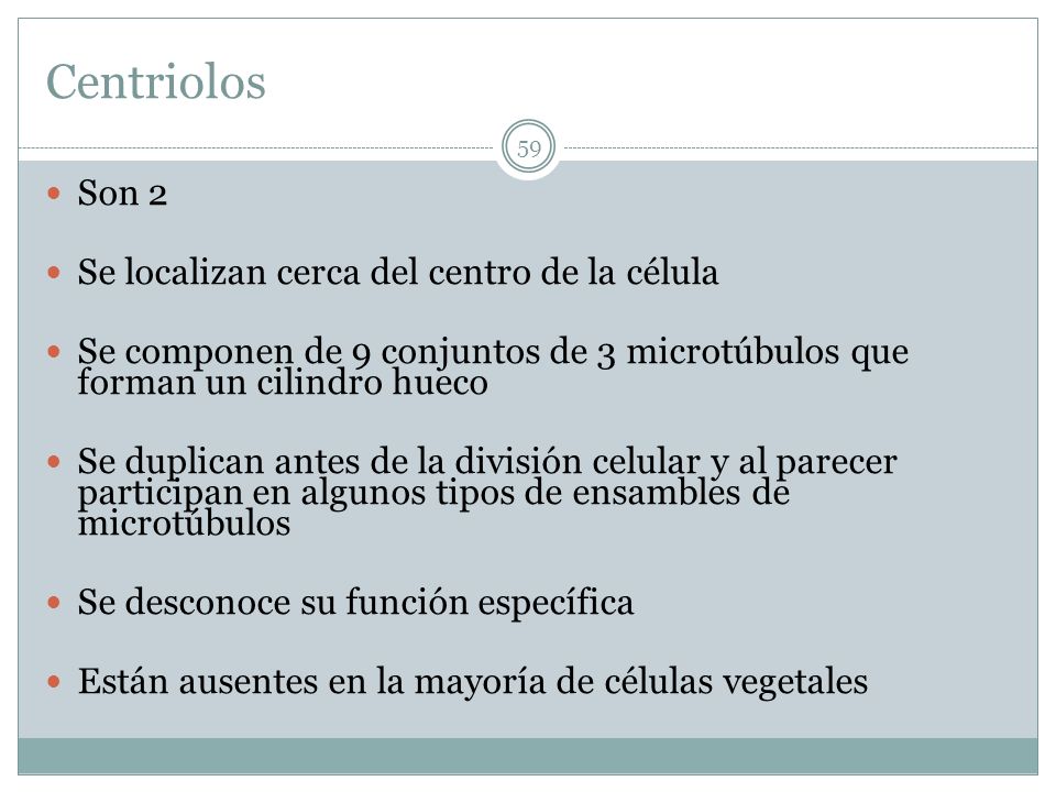Centriolos Son 2 Se localizan cerca del centro de la célula