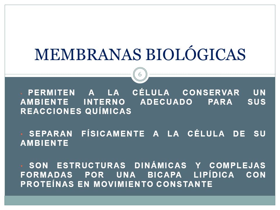 MEMBRANAS BIOLÓGICAS separan físicamente a la célula de su ambiente