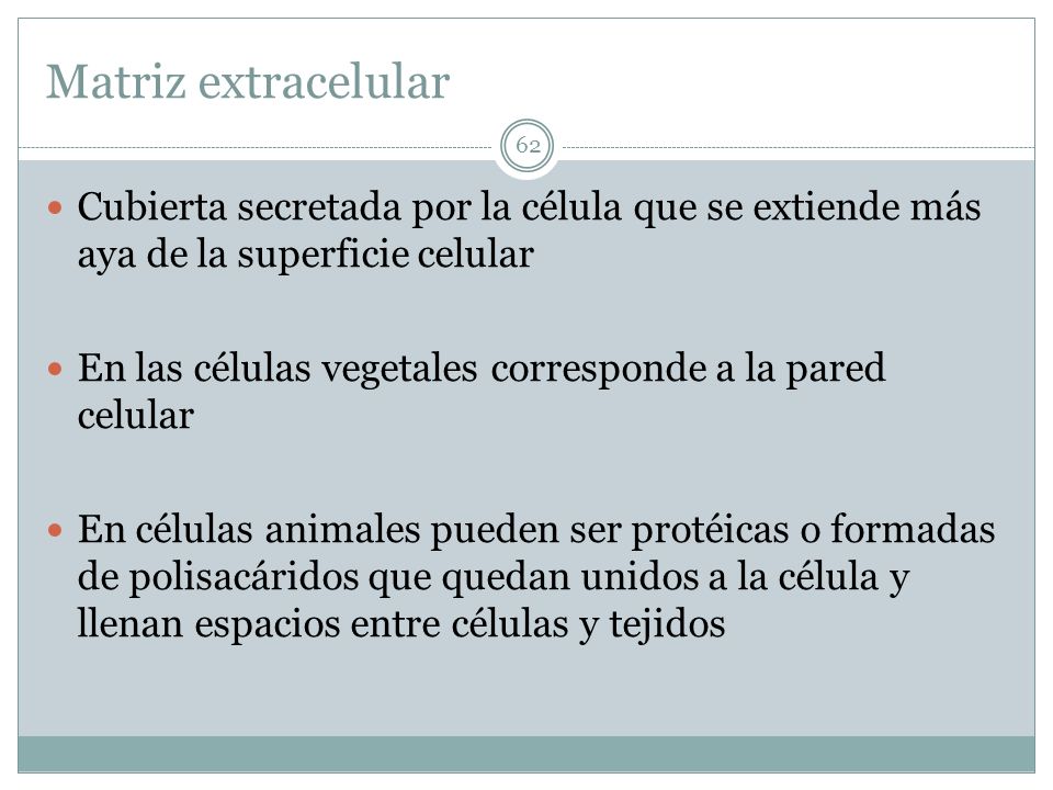 Matriz extracelular Cubierta secretada por la célula que se extiende más aya de la superficie celular.