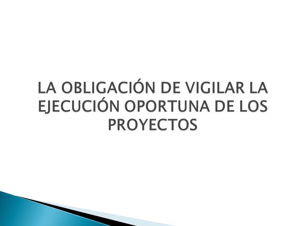 LA OBLIGACIÓN DE VIGILAR LA EJECUCIÓN OPORTUNA DE LOS PROYECTOS