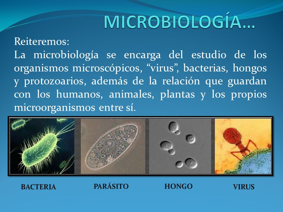 MICROBIOLOGÍA… Reiteremos: