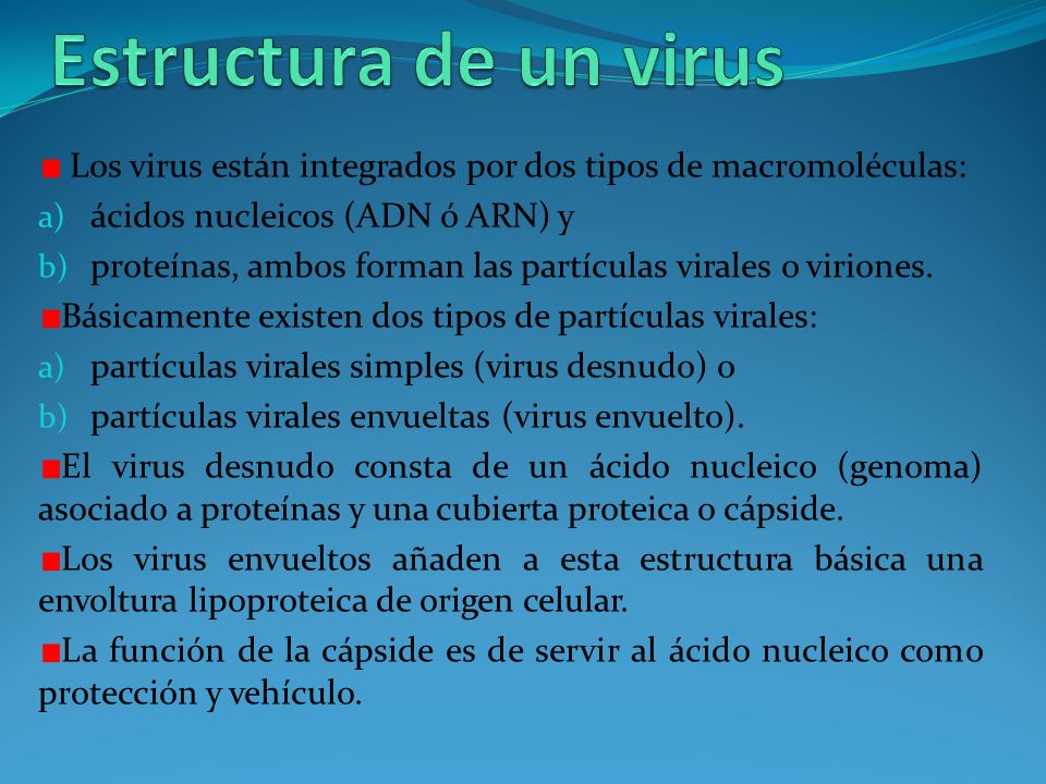Estructura de un virus Los virus están integrados por dos tipos de macromoléculas: ácidos nucleicos (ADN ó ARN) y.