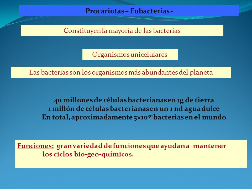 Procariotas – Eubacterias -