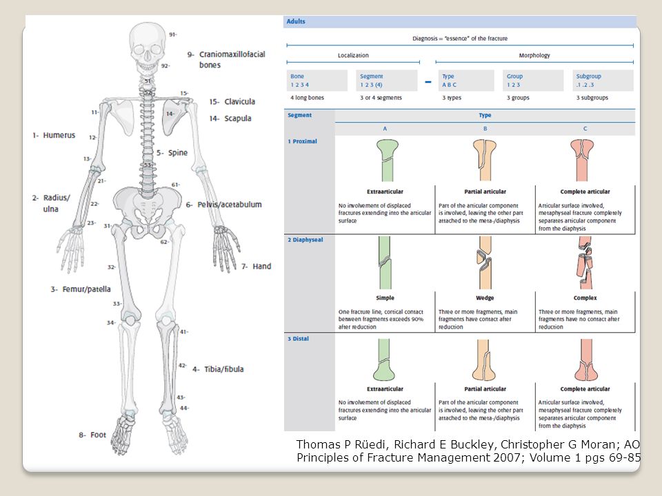 Thomas P Rüedi, Richard E Buckley, Christopher G Moran; AO Principles of Fracture Management 2007; Volume 1 pgs 69-85