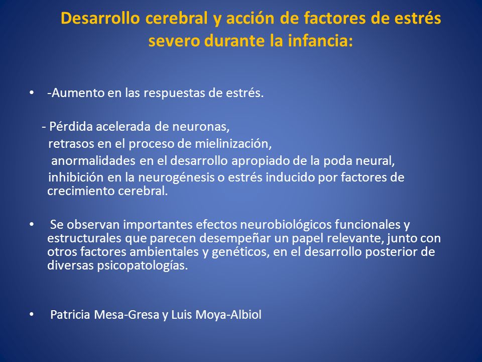 Desarrollo cerebral y acción de factores de estrés severo durante la infancia: