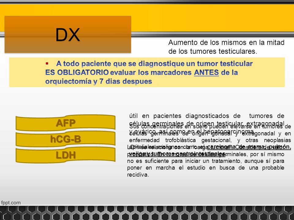 DX Aumento de los mismos en la mitad de los tumores testiculares. A todo paciente que se diagnostique un tumor testicular.