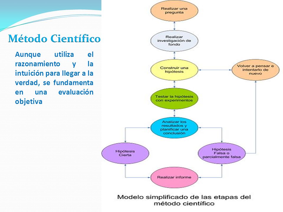 Método Científico Aunque utiliza el razonamiento y la intuición para llegar a la verdad, se fundamenta en una evaluación objetiva.