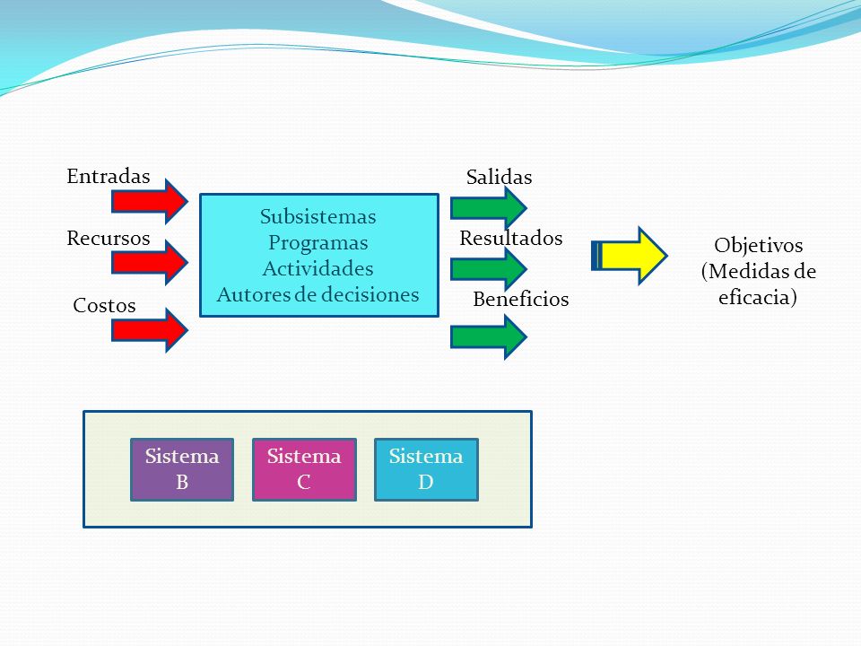 Subsistemas Programas. Actividades. Autores de decisiones. Entradas. Recursos. Costos. Salidas.
