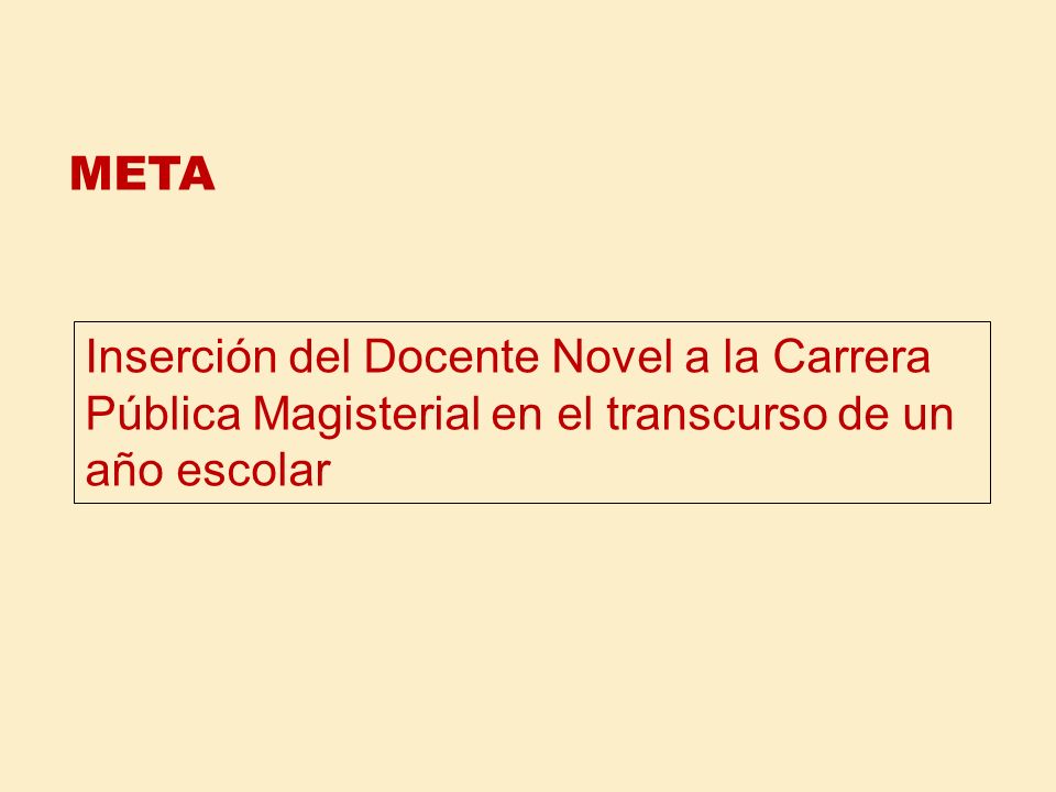 META Inserción del Docente Novel a la Carrera Pública Magisterial en el transcurso de un año escolar.
