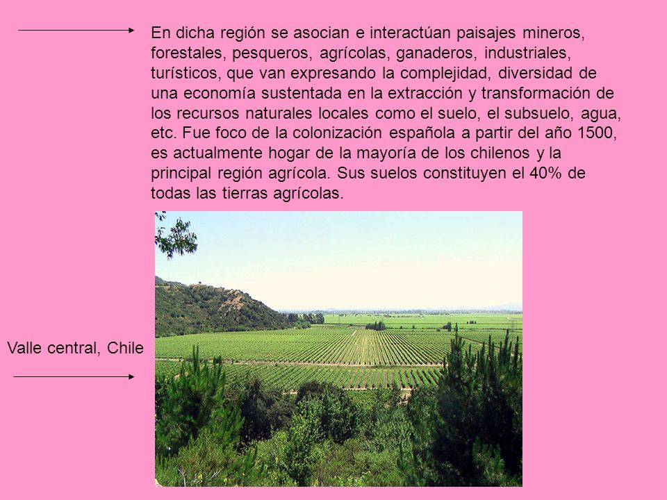 En dicha región se asocian e interactúan paisajes mineros, forestales, pesqueros, agrícolas, ganaderos, industriales, turísticos, que van expresando la complejidad, diversidad de una economía sustentada en la extracción y transformación de los recursos naturales locales como el suelo, el subsuelo, agua, etc. Fue foco de la colonización española a partir del año 1500, es actualmente hogar de la mayoría de los chilenos y la principal región agrícola. Sus suelos constituyen el 40% de todas las tierras agrícolas.