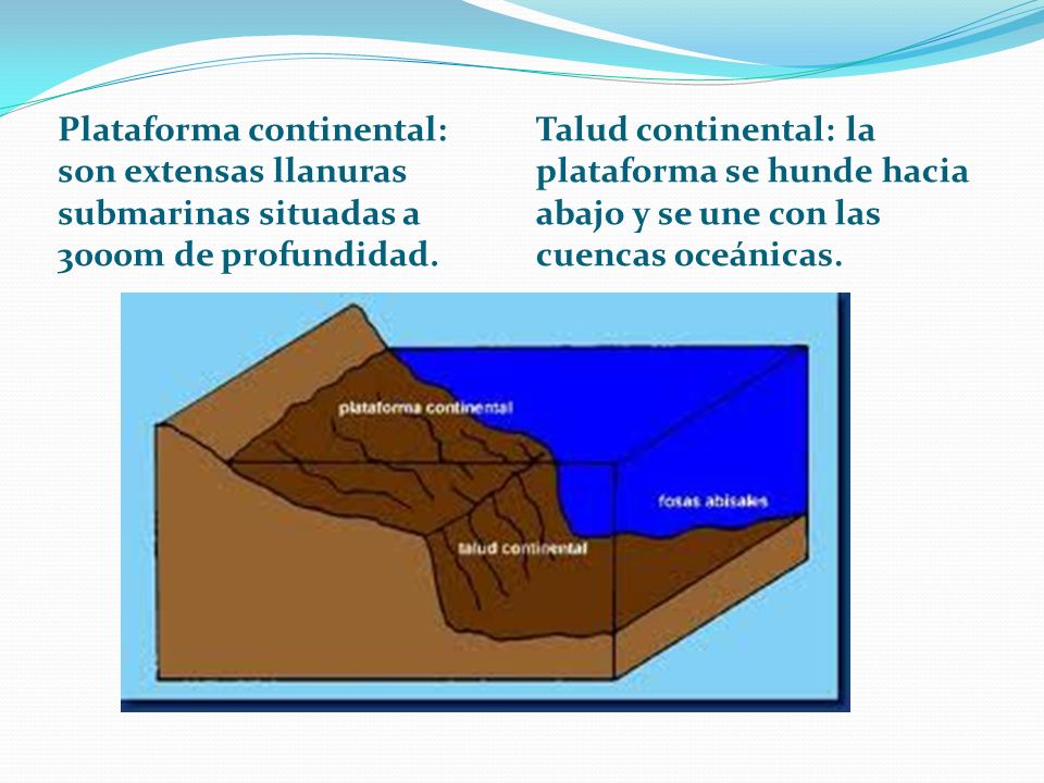 Plataforma continental: son extensas llanuras submarinas situadas a 3000m de profundidad.