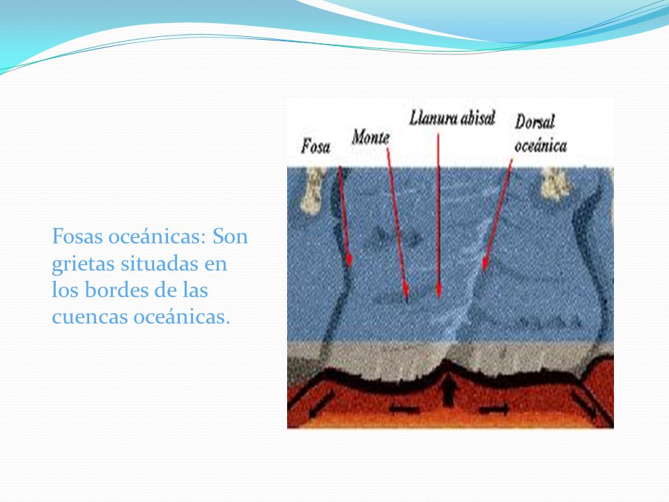 Fosas oceánicas: Son grietas situadas en los bordes de las cuencas oceánicas.