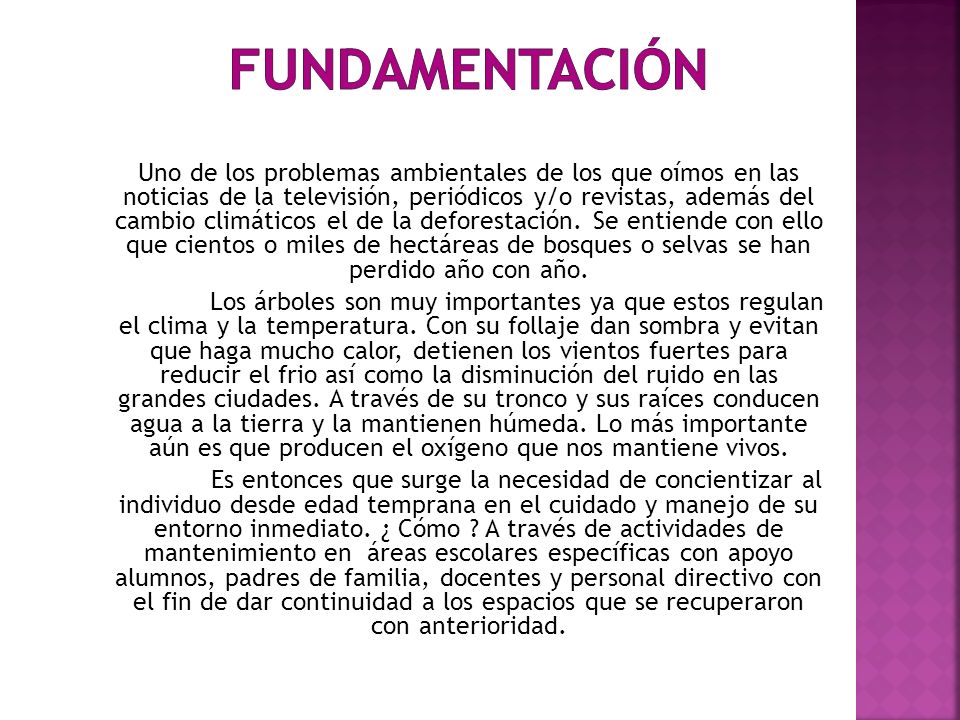FUNDAMENTACIÓN