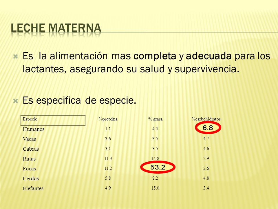 Leche materna Es la alimentación mas completa y adecuada para los lactantes, asegurando su salud y supervivencia.