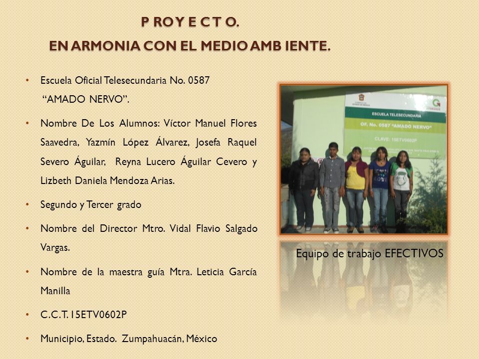 P RO Y E C T O. EN ARMONIA CON EL MEDIO AMB IENTE.