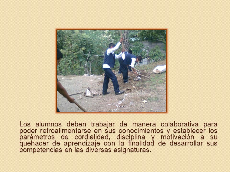 Los alumnos deben trabajar de manera colaborativa para poder retroalimentarse en sus conocimientos y establecer los parámetros de cordialidad, disciplina y motivación a su quehacer de aprendizaje con la finalidad de desarrollar sus competencias en las diversas asignaturas.