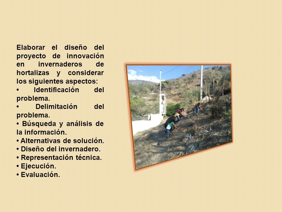 Elaborar el diseño del proyecto de innovación en invernaderos de hortalizas y considerar los siguientes aspectos: