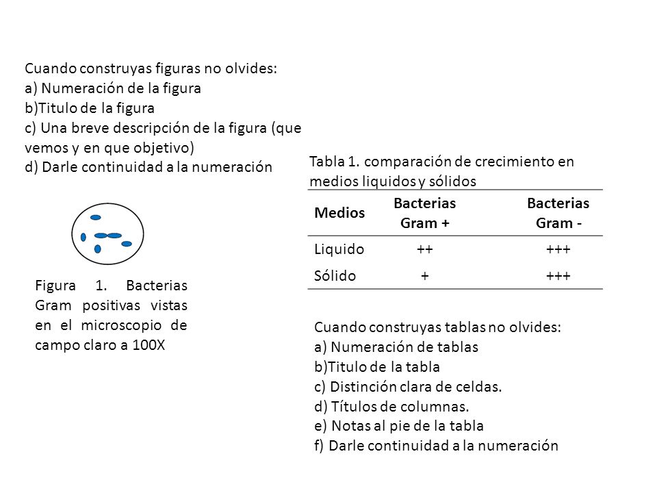 Cuando construyas figuras no olvides: