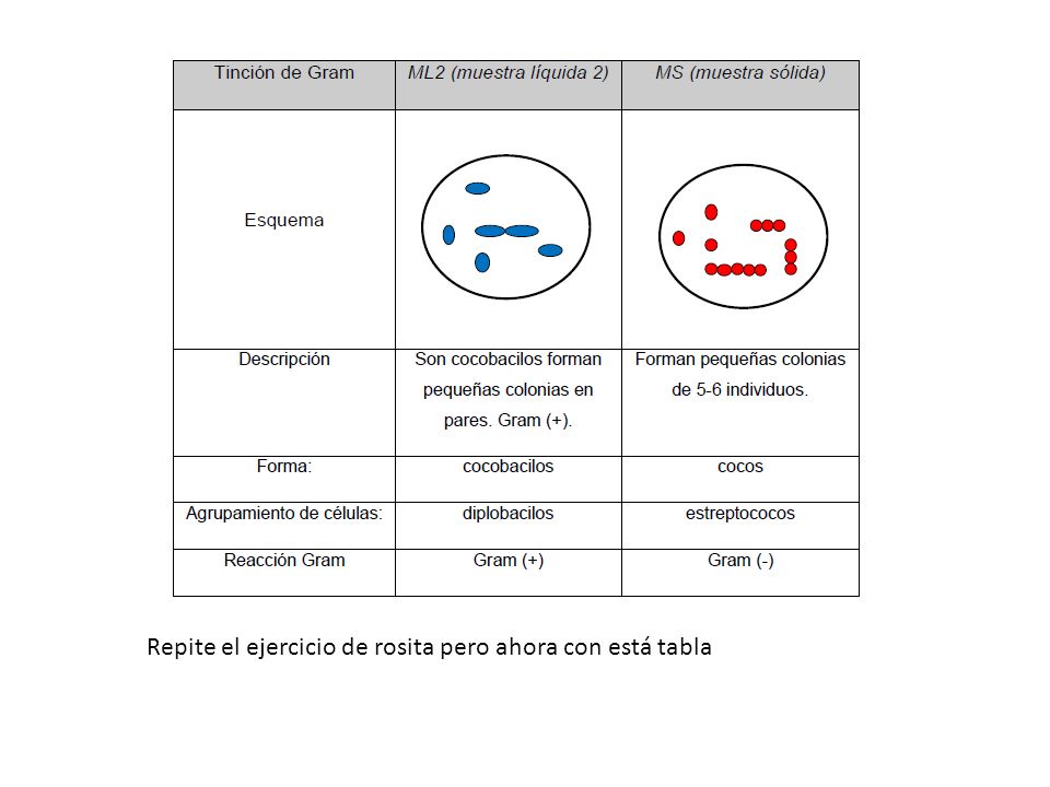 Repite el ejercicio de rosita pero ahora con está tabla
